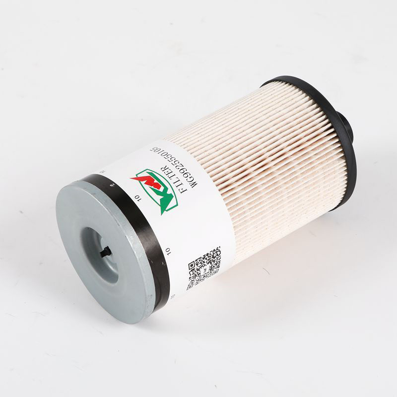 WG9925550105 Kraftstofffilter für Lastkraftwagen mit Ursprung in Hebei