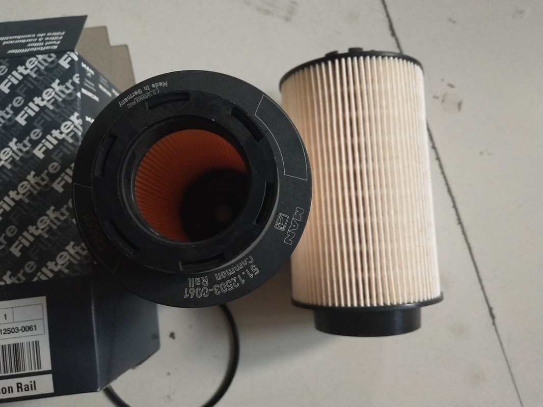 Diesel-Kraftstofffilter 12503-0061 des LKW-1kg mit 15×15×28cm Größe