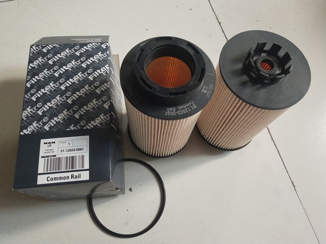 Diesel-Kraftstofffilter 12503-0061 des LKW-1kg mit 15×15×28cm Größe