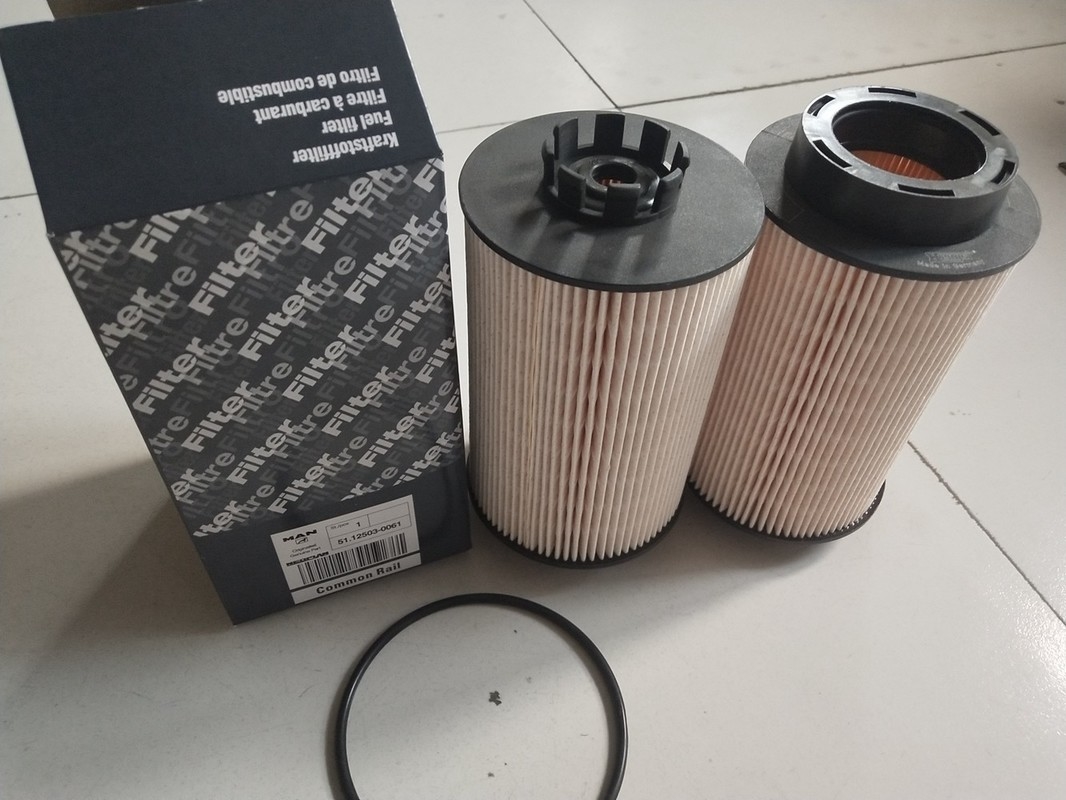 Diesel-Kraftstofffilter 12503-0061 des LKW-1kg mit 15×15×28cm Größe