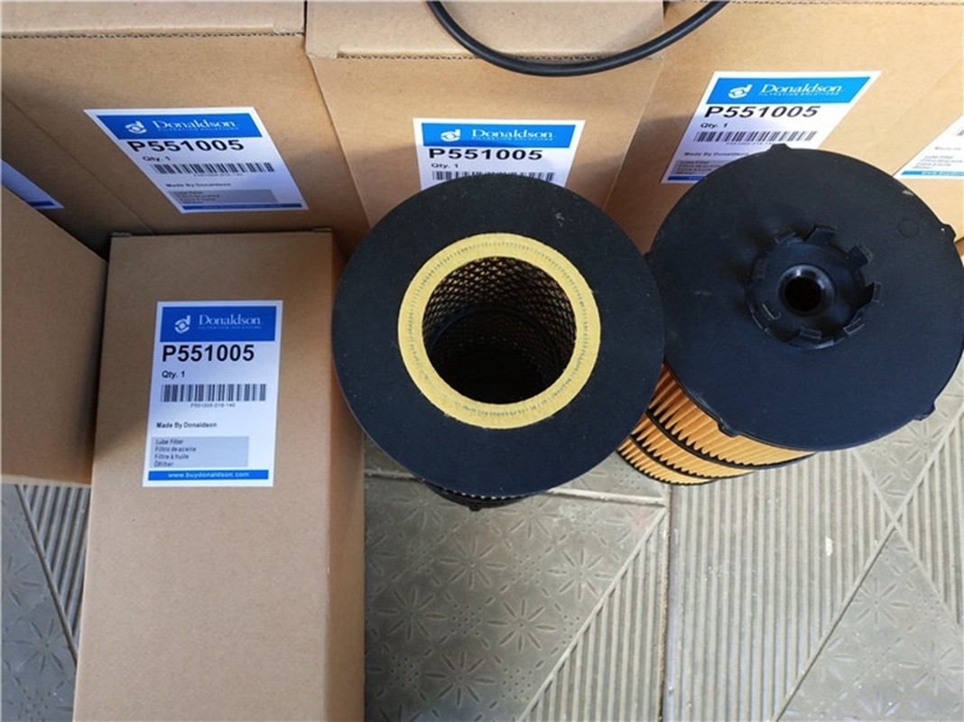 200μM Lube Ölfilter Patrone, hydraulische Ölfilter P551005 Donaldson